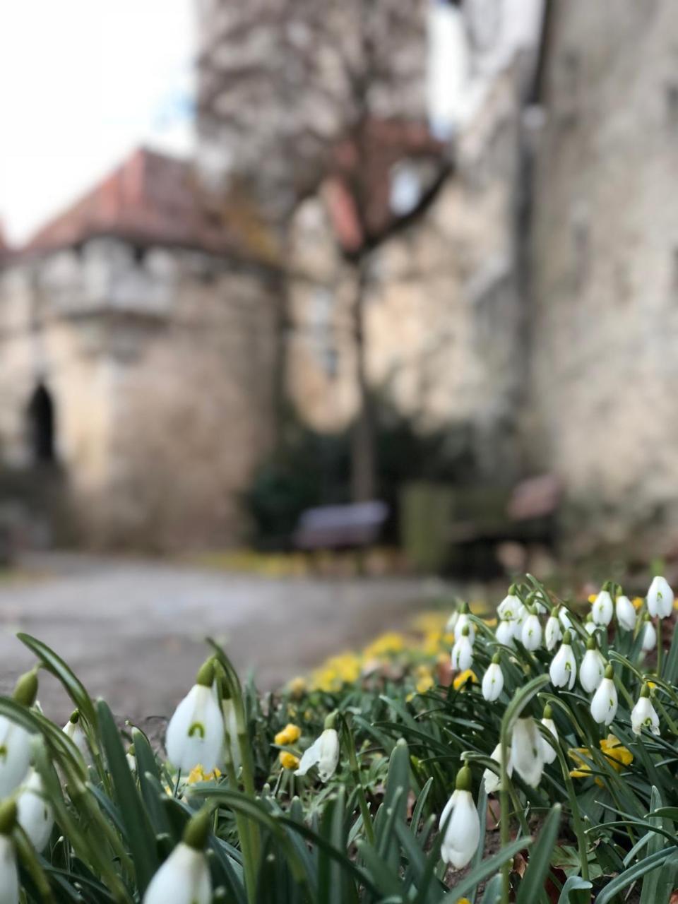 Готель Gastehaus Eberlein Ротенбург-на-Таубері Екстер'єр фото